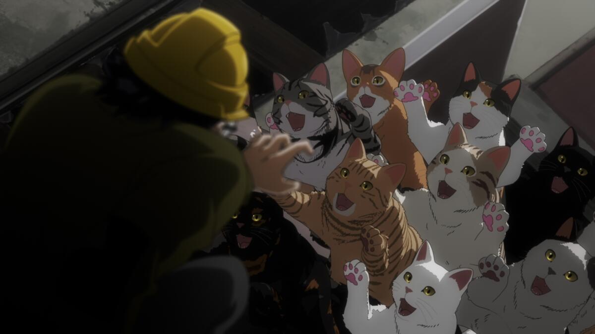 A horde of cats reaching up to a man