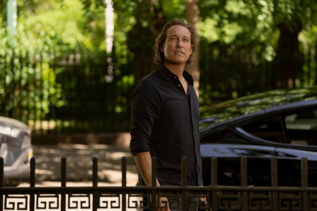 A man in a black shirt stands behind a black wrought-iron fence looking upward.
