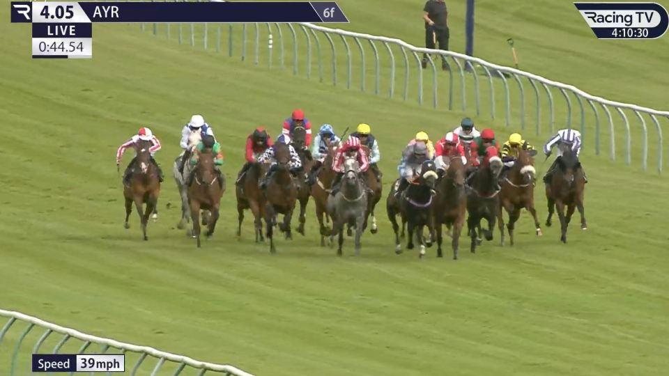 Horses racing on a track.