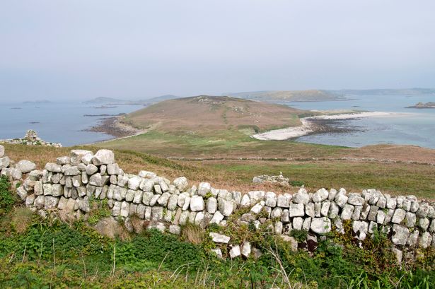 Stone walls, Samson, Isles of Scilly, United Kingdom, Europe