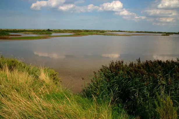 Titchwell RSPB reserve in Norfolk, UK