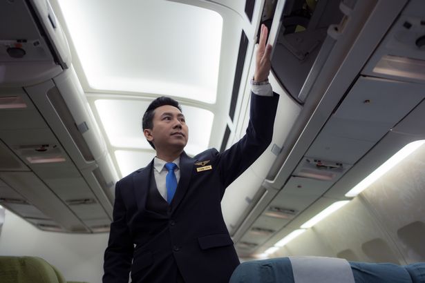  flight attendant