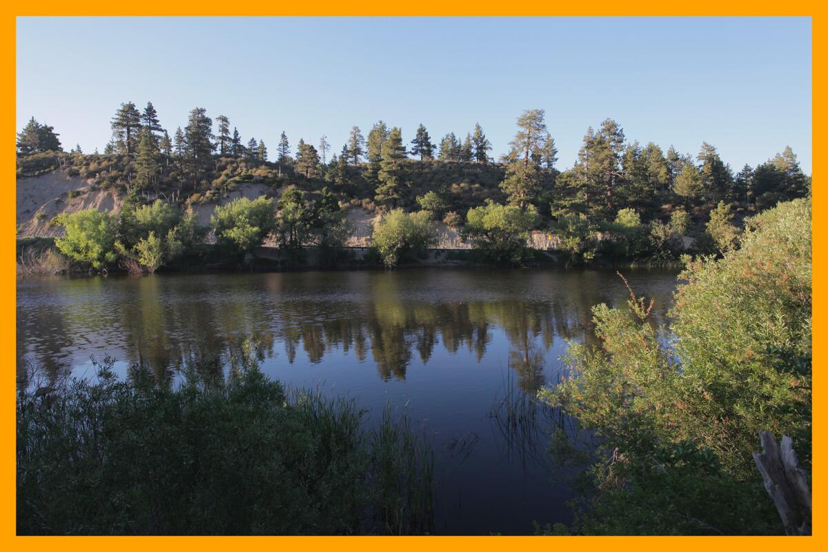 Jackson Lake near Wrightwood entertains families enjoy fishing and picnicking and staying at the nearby campground.