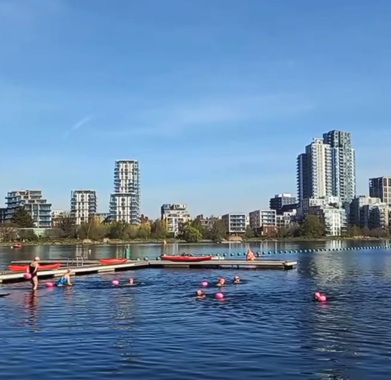 Open water swimmers in a lake with city buildings in the background.