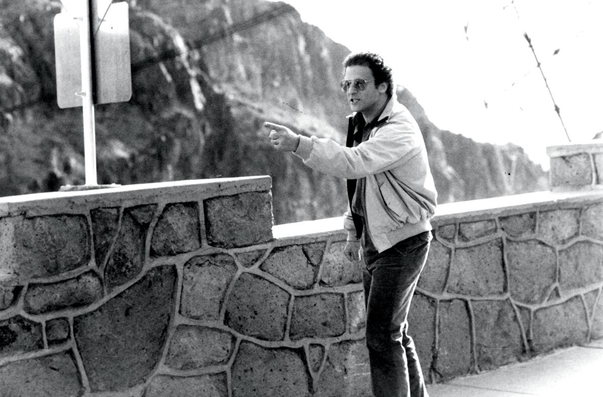 A man stands at a scenic overlook.