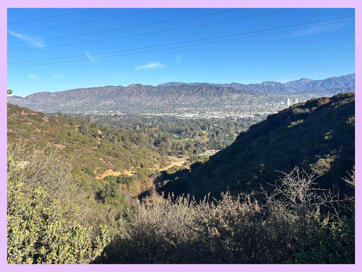 Overlook of multiple hills with various shade coverage.