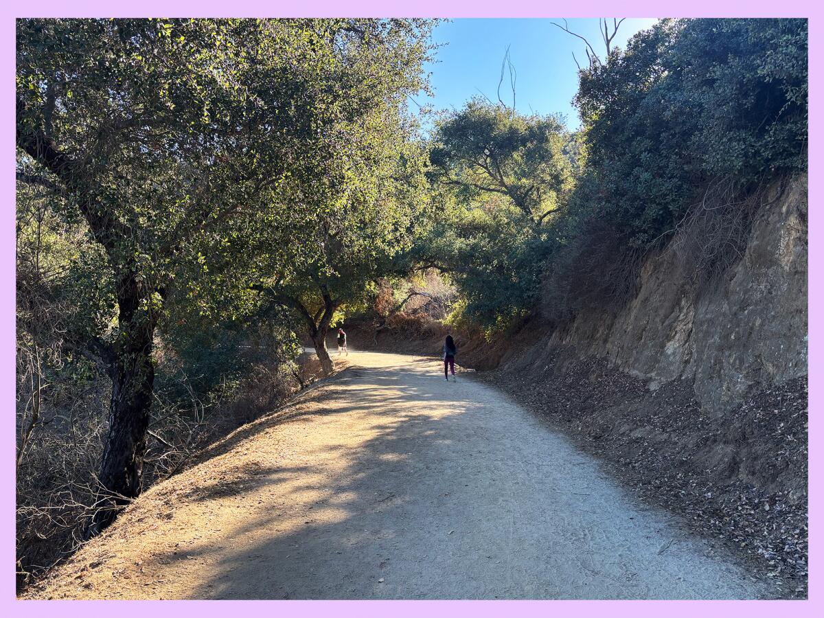 Stone wall next to trail casting shade onto the path.