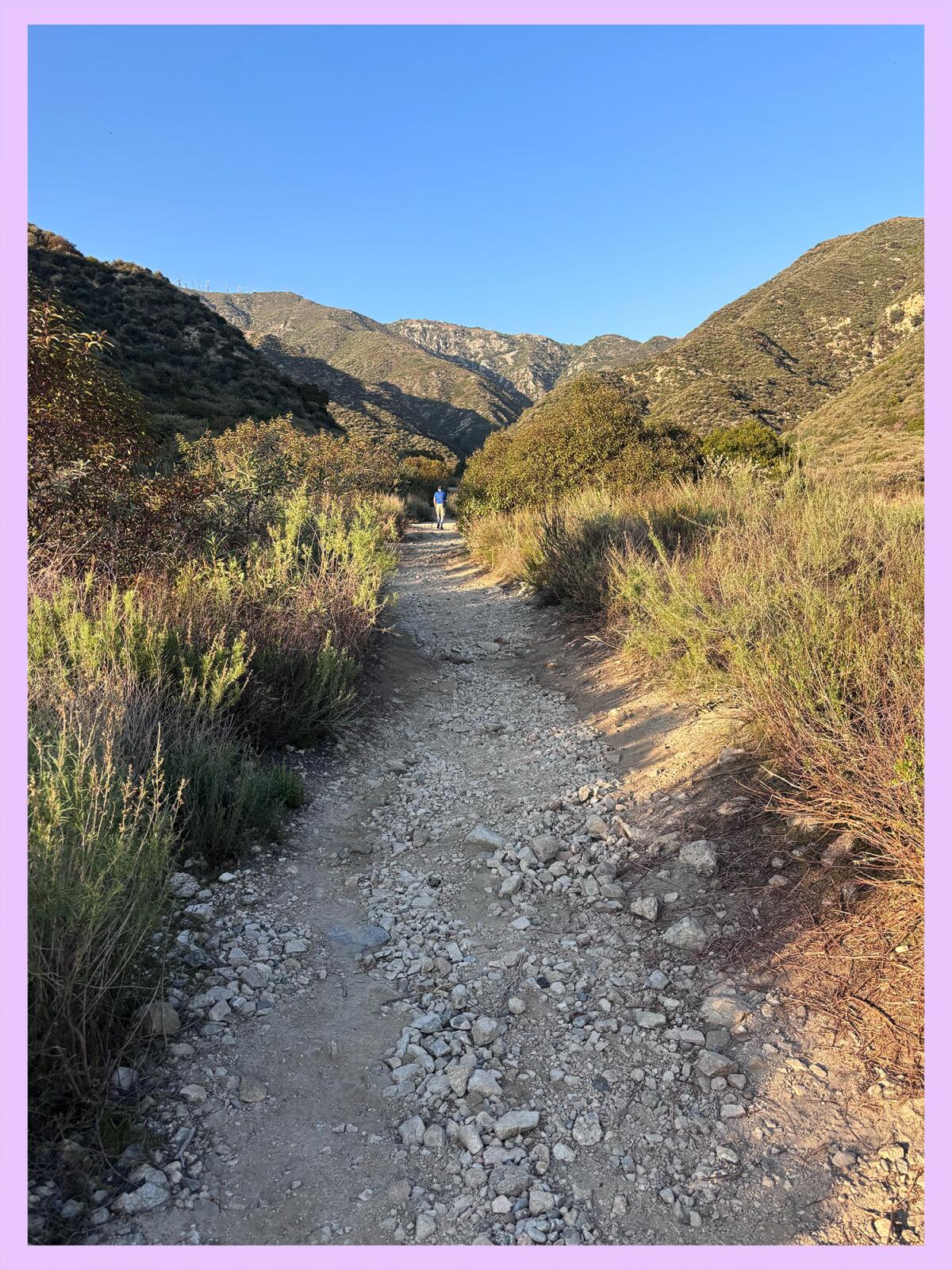 Semi-shaded trail through shrubs and hills.