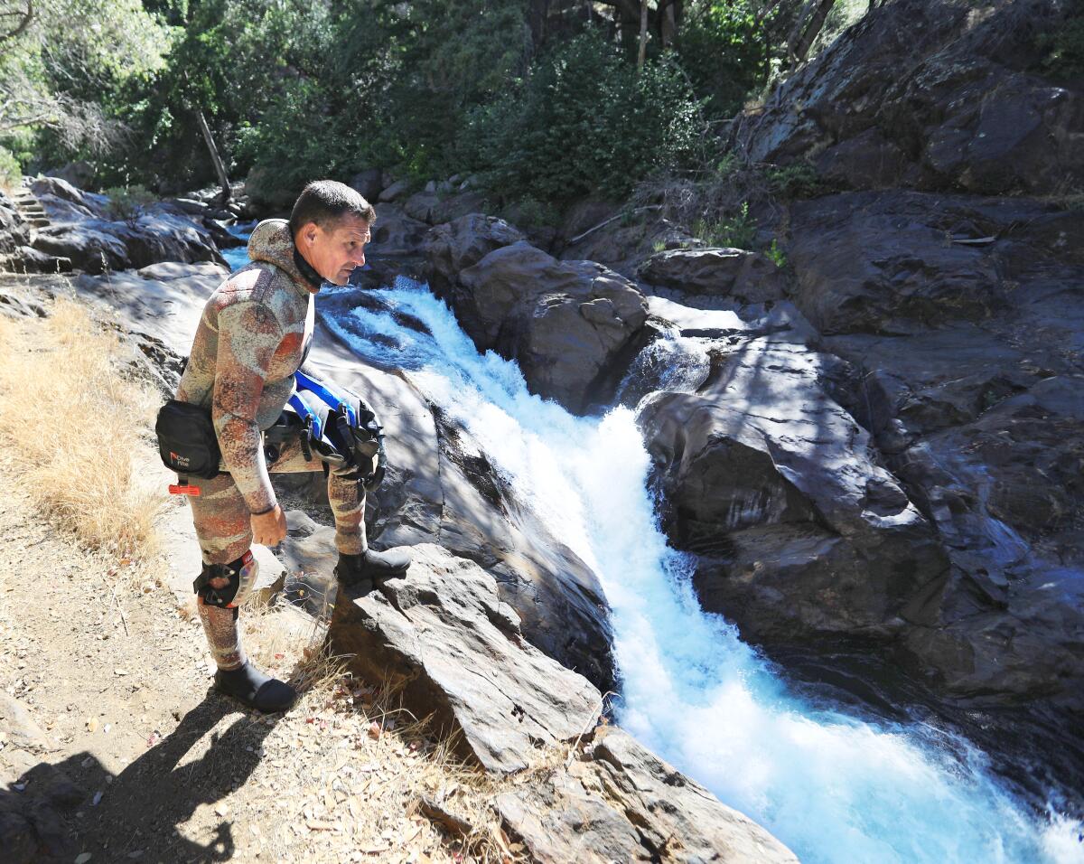 A professional diver looks at the Kaweah River.