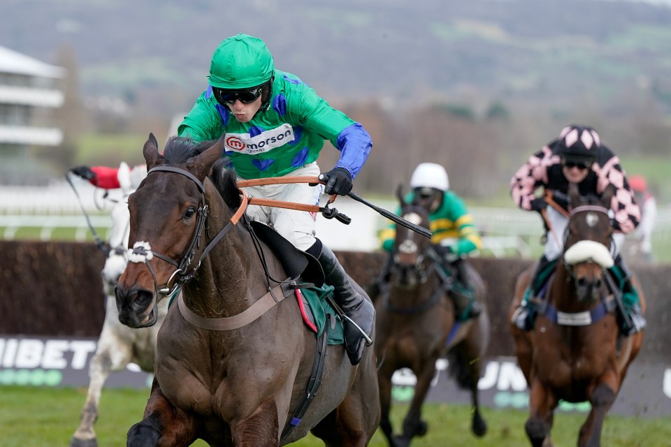 Jockey Harry Cobden riding Ginny's Destiny in a horse race.