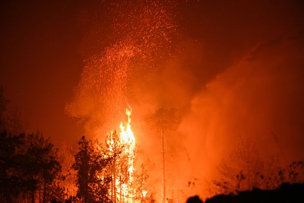 BURSA, TURKIYE - JULY 28: Smoke and flames rise as firefighting efforts continue after a forest fire, which was largely brought under control in the morning, reignites due to strong winds in Orhaneli district of Bursa, Turkiye on July 28, 2025. (Photo by Ismail Aslandag/Anadolu via Getty Images)