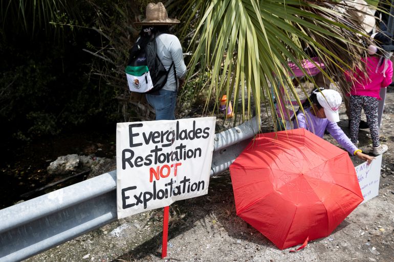 A sign on the roadside, under a palm frond, reads, "Everglade restoration not exploitation."