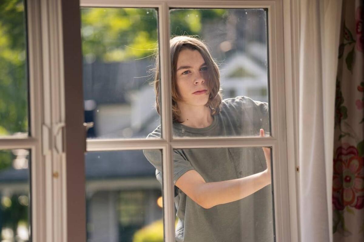 A teenage boy with shoulder length brown hair in a green T-shirt seen through a pane-glassed window.