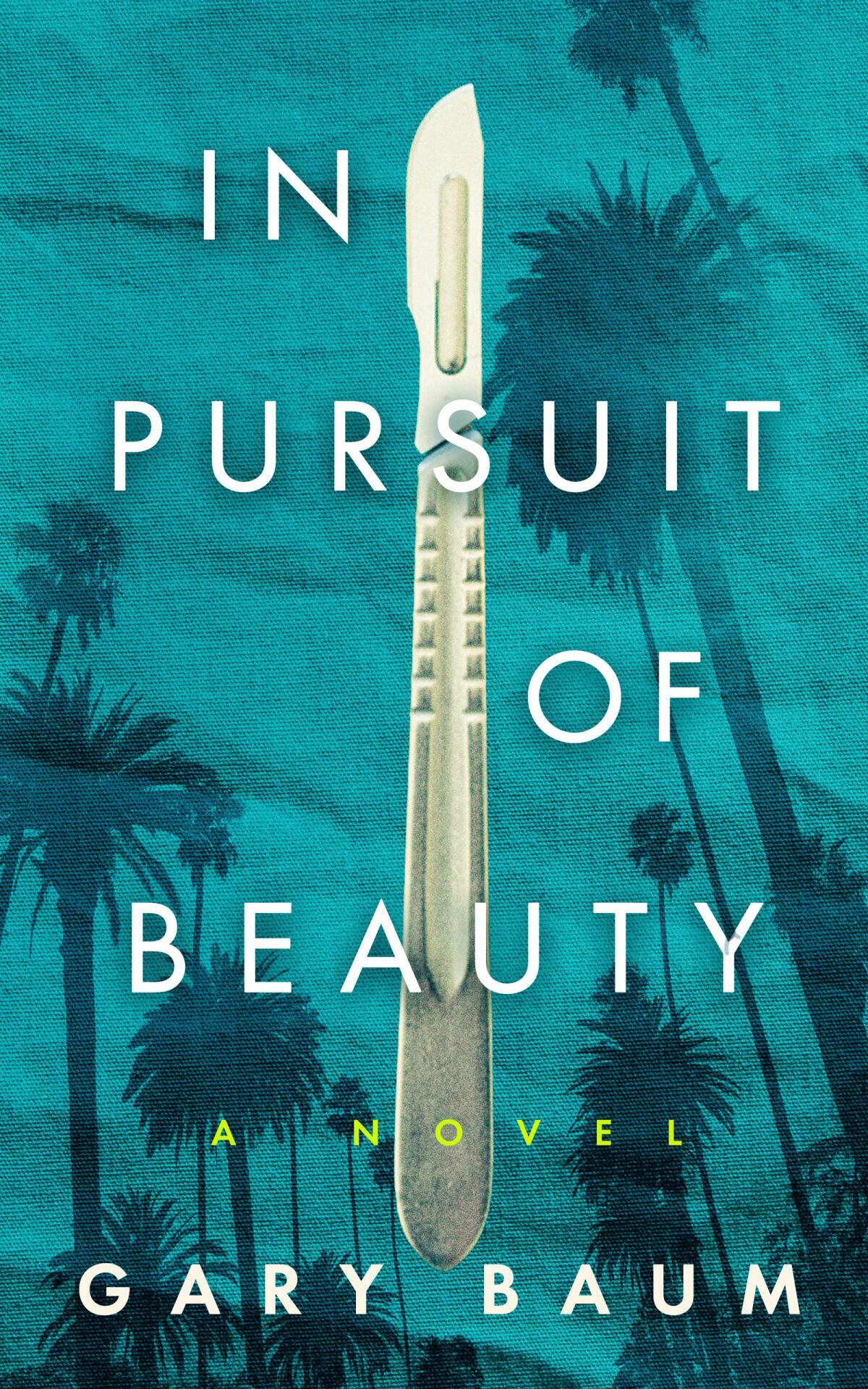 "In Pursuit of Beauty: A Novel" by Gary Baum