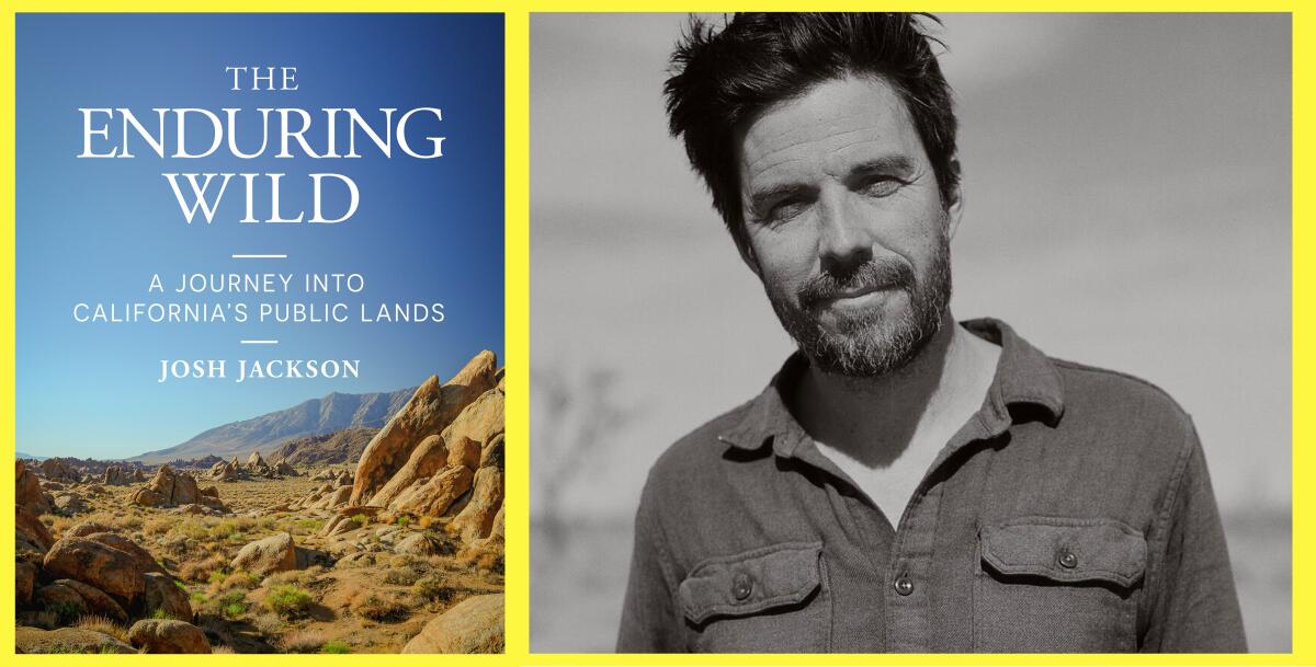 Author and his book's cover