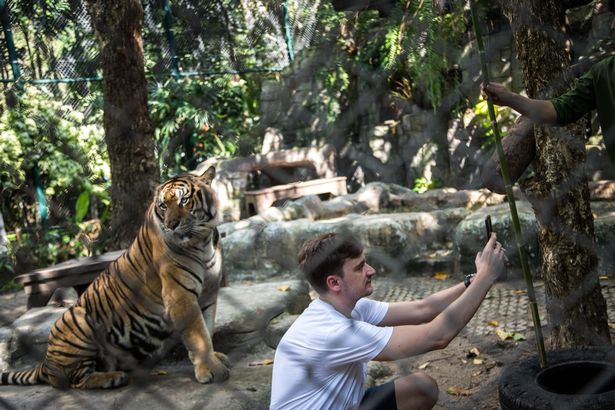 British holidaymakers typically take 14 selfies a day while abroad - and post seven a week on social media