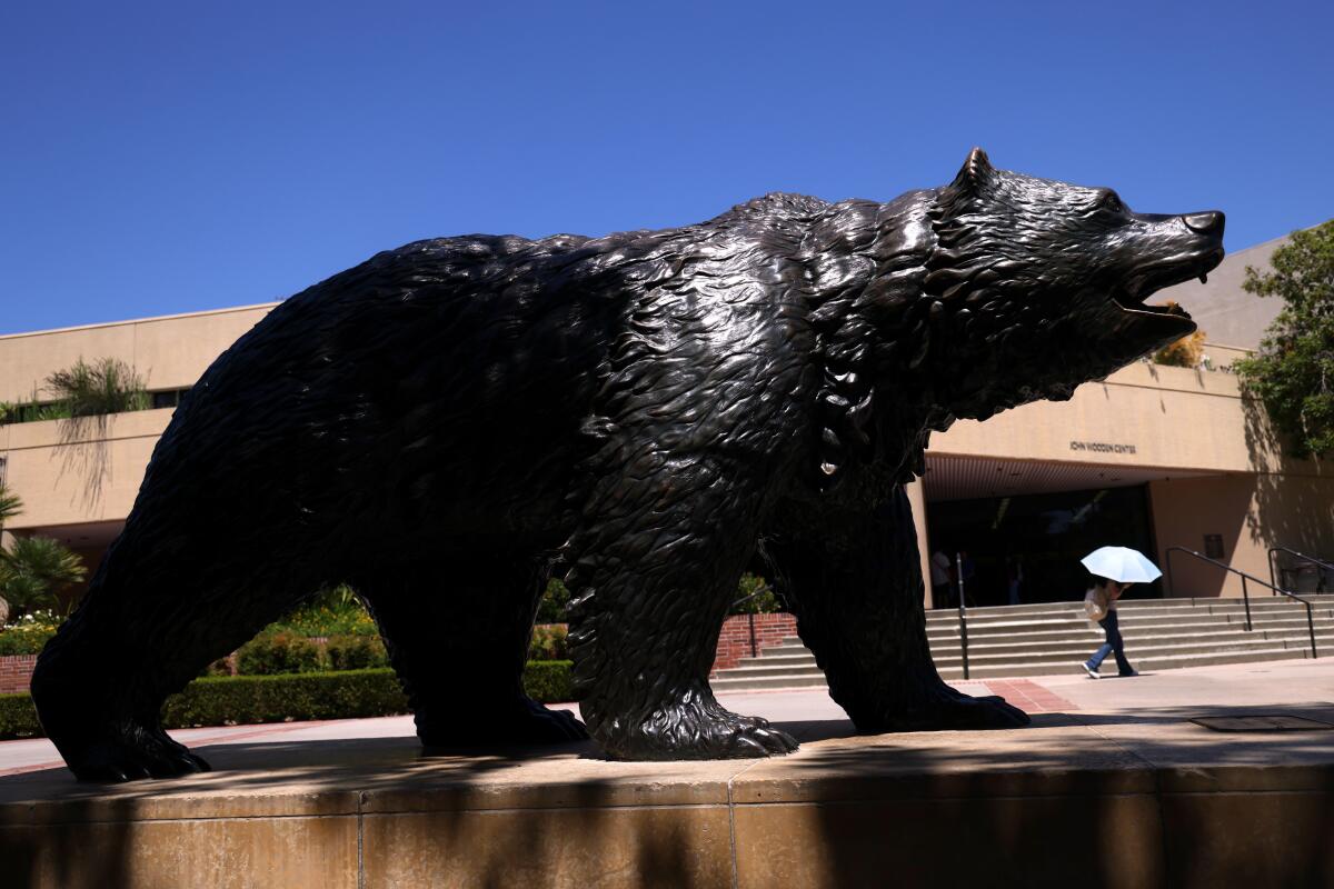 The Bruin Statue stands tall on the campus at UCLA in Westwood.