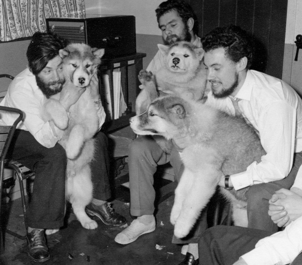 Black and white photo of men holding dogs in Antarctica.