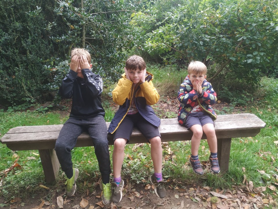 Three boys sitting on a park bench, covering their eyes, ears, and mouth.