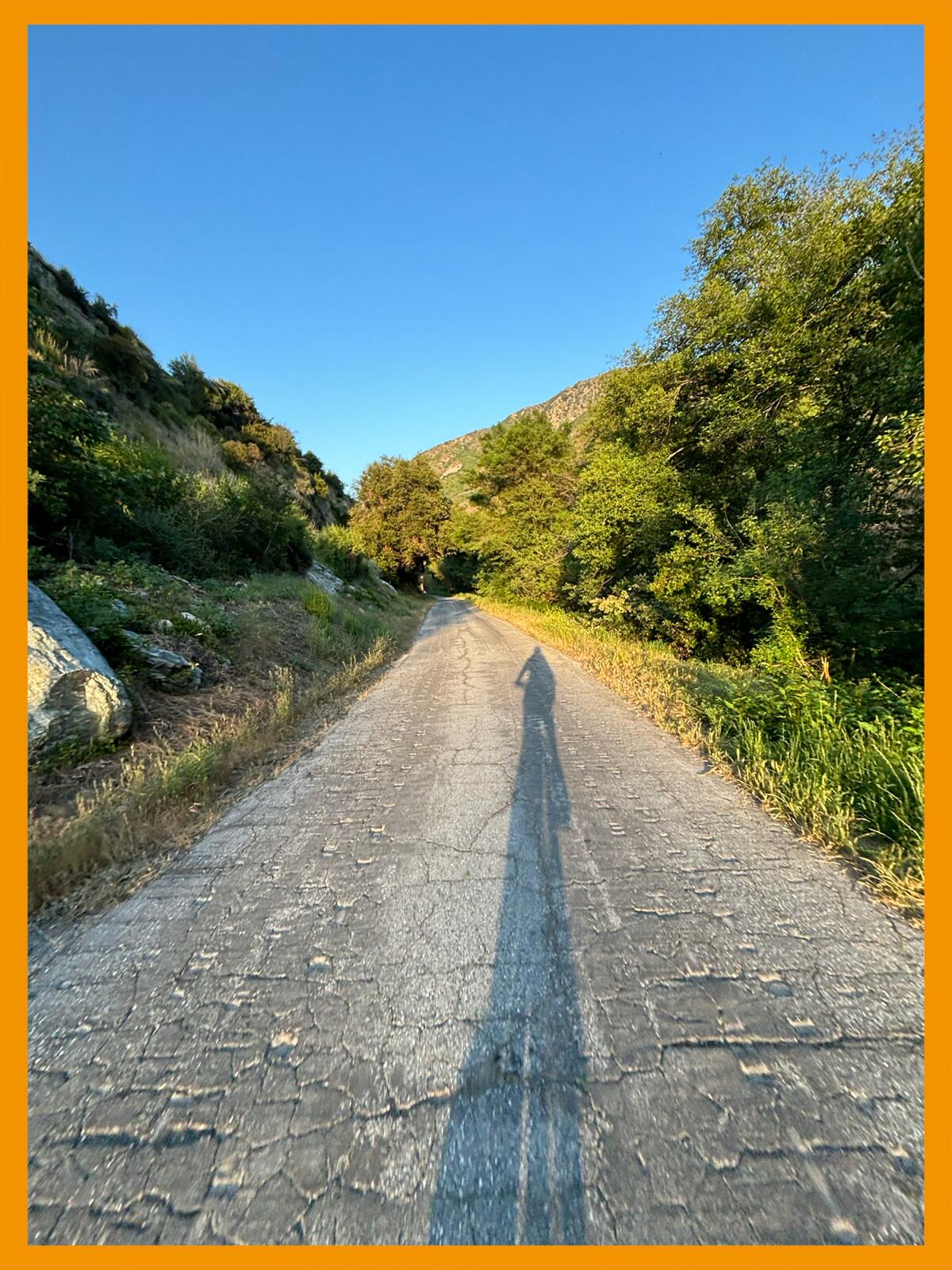 Shadow of a person on a bike falls on a semi-paved trail through lush greens.