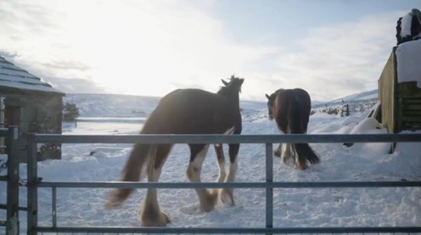 The episode, which aired earlier this year from the second season, saw the farm face extreme weather as it was covered in snow