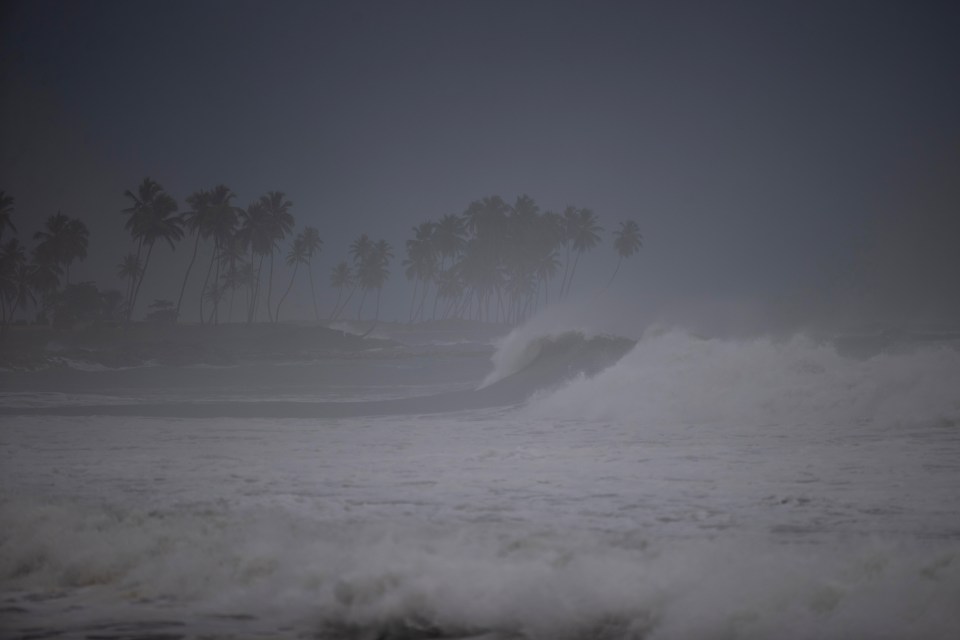 Large waves crashing on a beach near palm trees during a hurricane.
