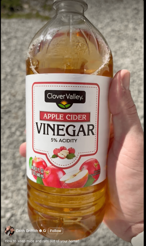 Bottle of Clover Valley apple cider vinegar.