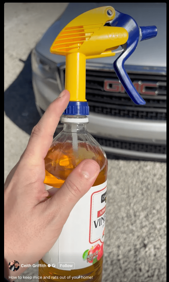 A hand holding a spray bottle filled with apple cider vinegar in front of a car; a tip to keep mice and rats away.