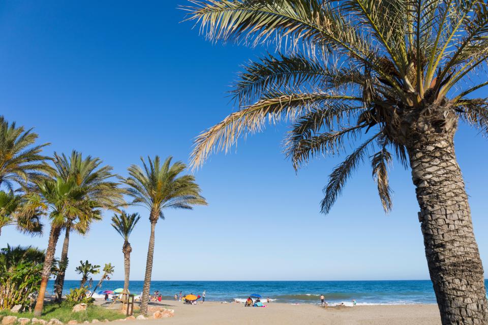 El Bombo beach in Spain, with palm trees and people relaxing on the sand.