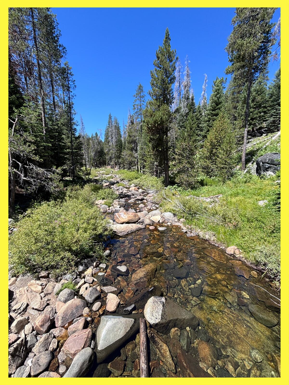 Bridalveil Creek along the Pohono Trail with trees and rocks.