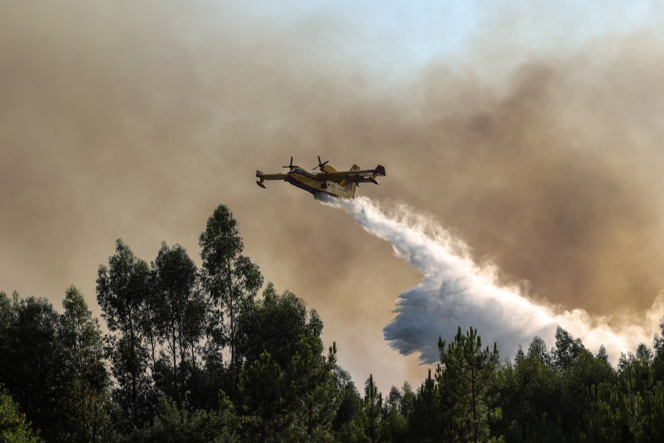 Air tanker dropping water on a forest fire.