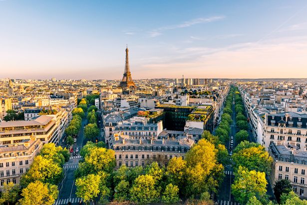 Paris cityscape with Eiffel Tower and green trees on a sunny summer day, high angle view, France