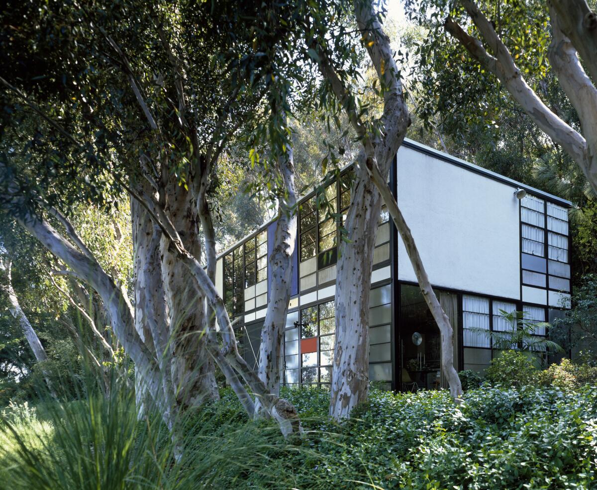 Exterior of the Eames House, Case Study House #8, in a eucalyptus grove.
