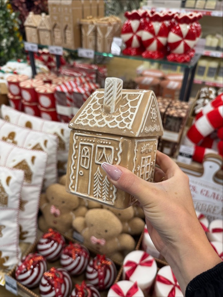 Hand holding a gingerbread house-shaped container.