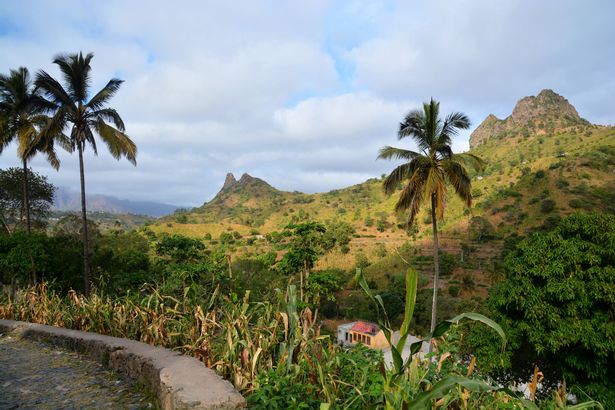 View of the hilly landscape from a small road with fields of corn on the low sides and a colorful house. in a village near the town of Assomada on the island of Santiago in the Cape Verde Archipelago off the coast of Senegal.it was an afternoon in December