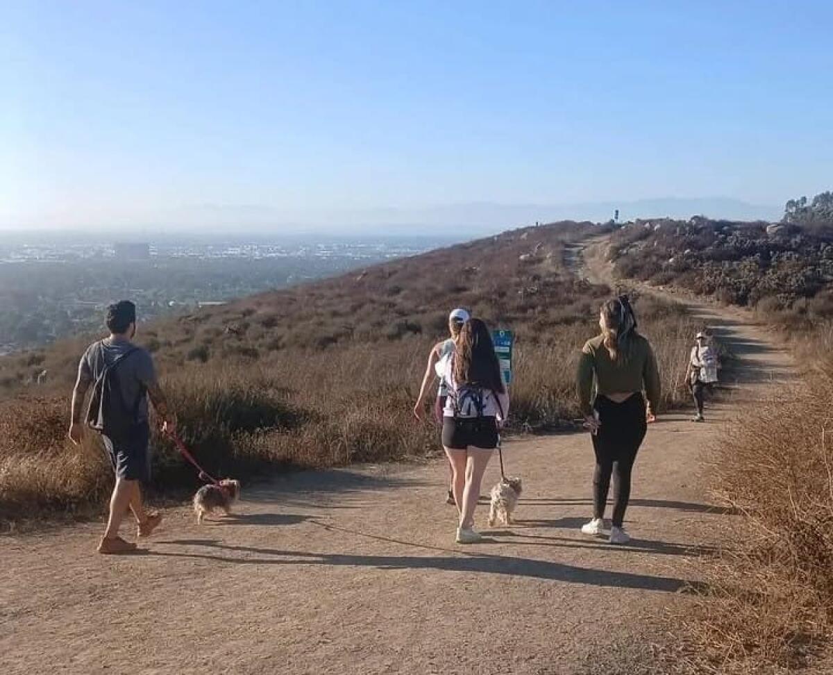 Hikers trek in the Turtle Rock area in Irvine.