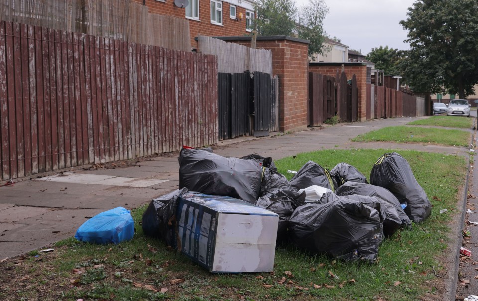 Pile of garbage bags and a box on a residential street.