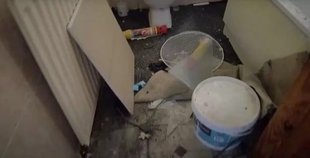 Inside one of the properties the YouTuber viewed