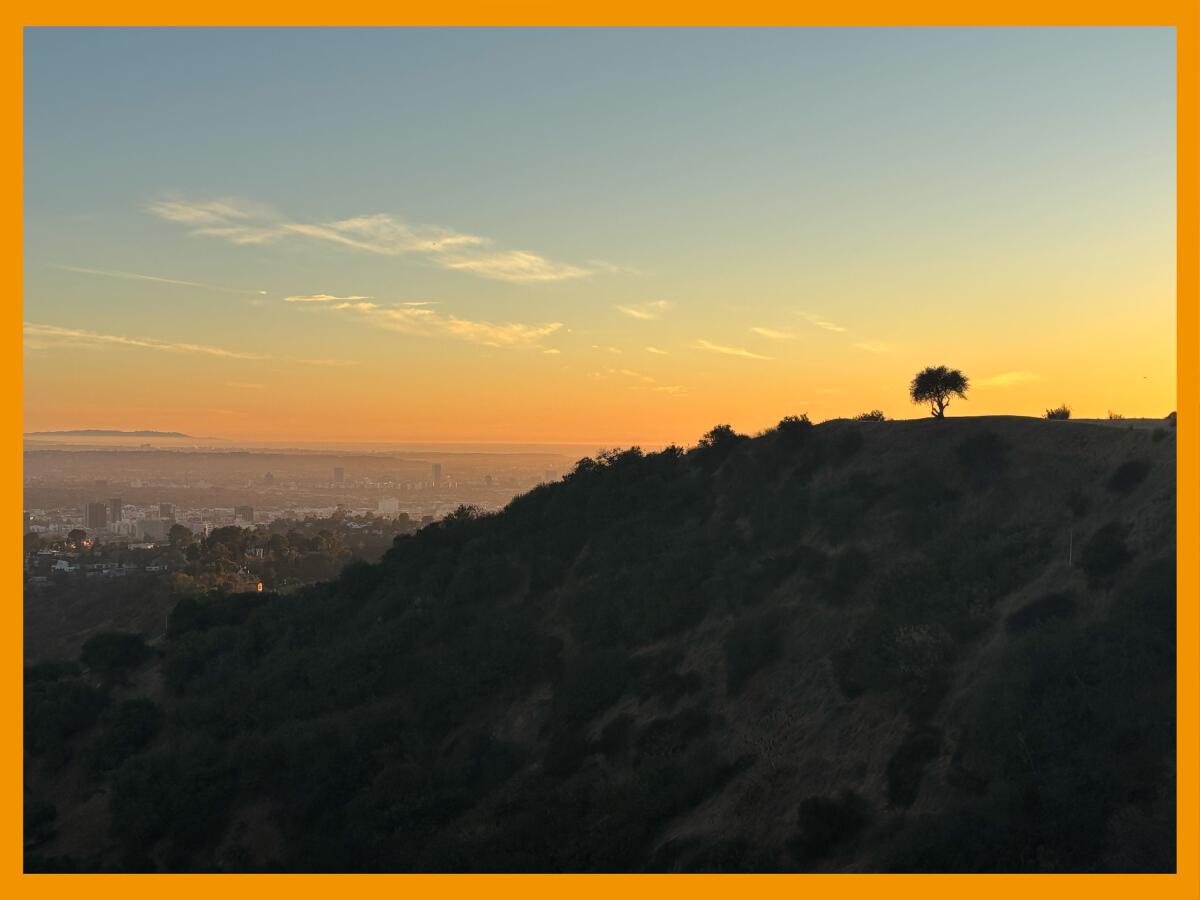 The sunset as seen from Griffith Park.