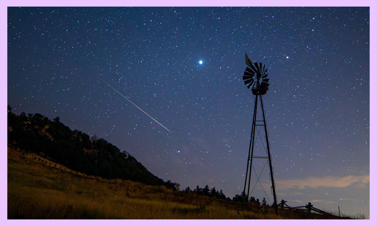 A Perseid meteor flashes through the sky above a meadow on Palomar Mountain silhouetting a windmill.