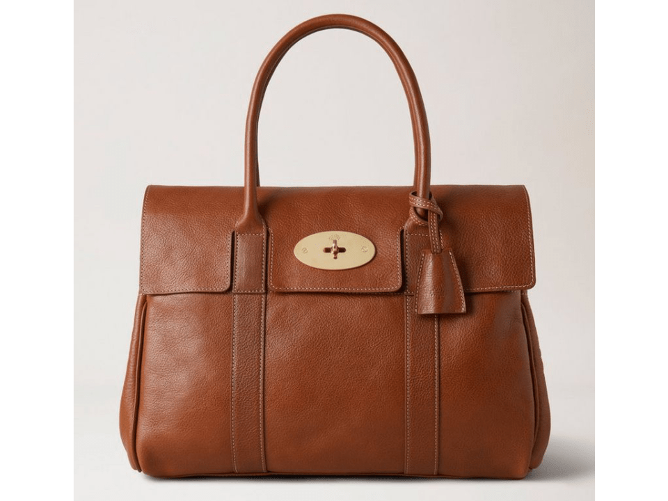 Brown leather handbag with gold clasp.
