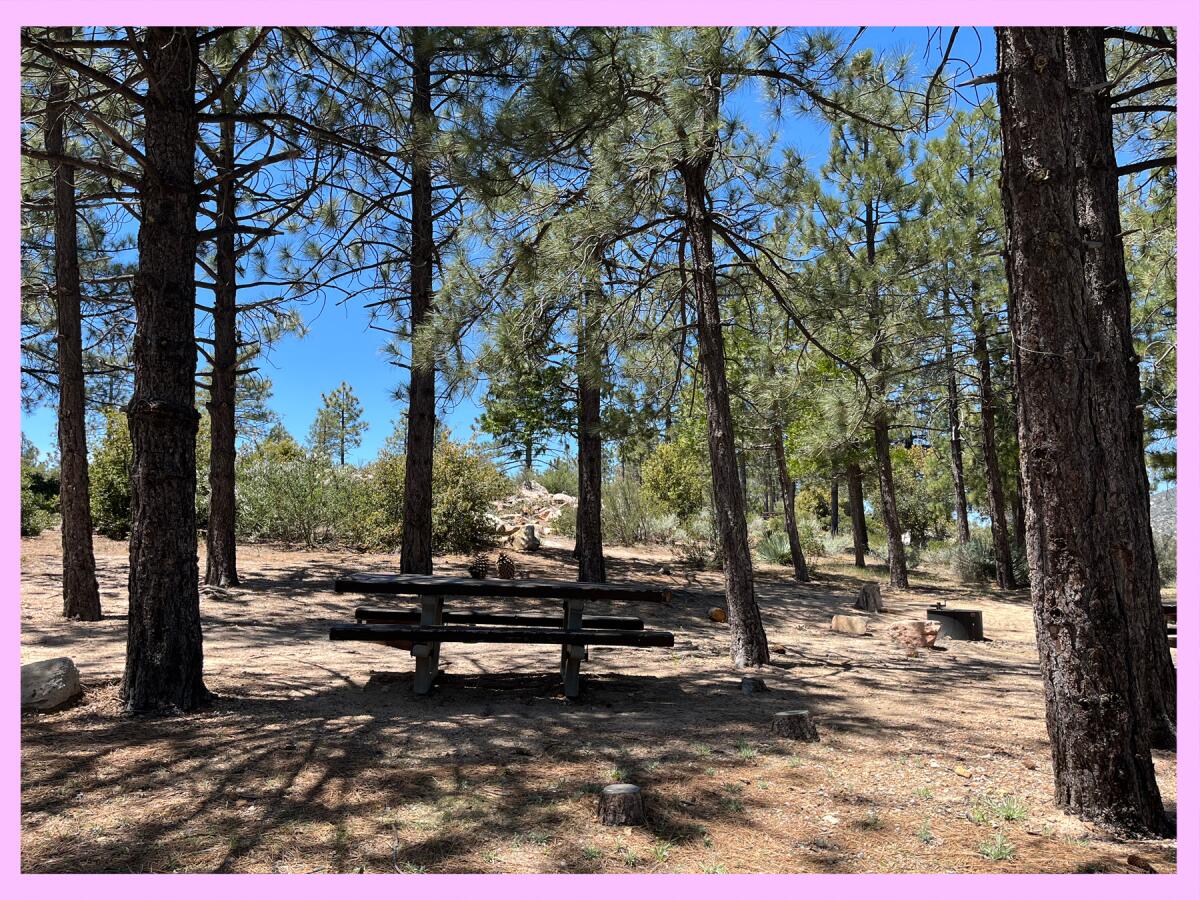 A picnic table in the woods.