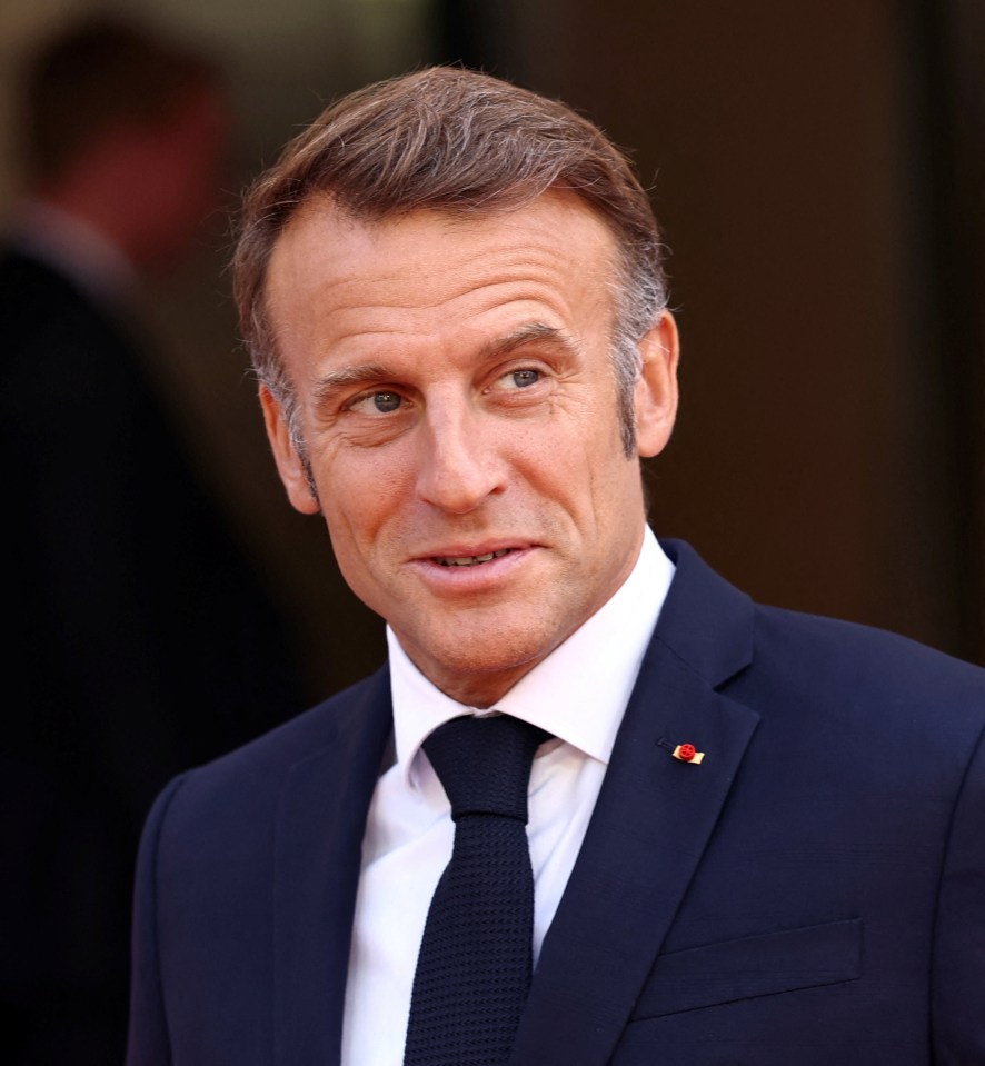 President Emmanuel Macron at a Franco-German cabinet meeting.