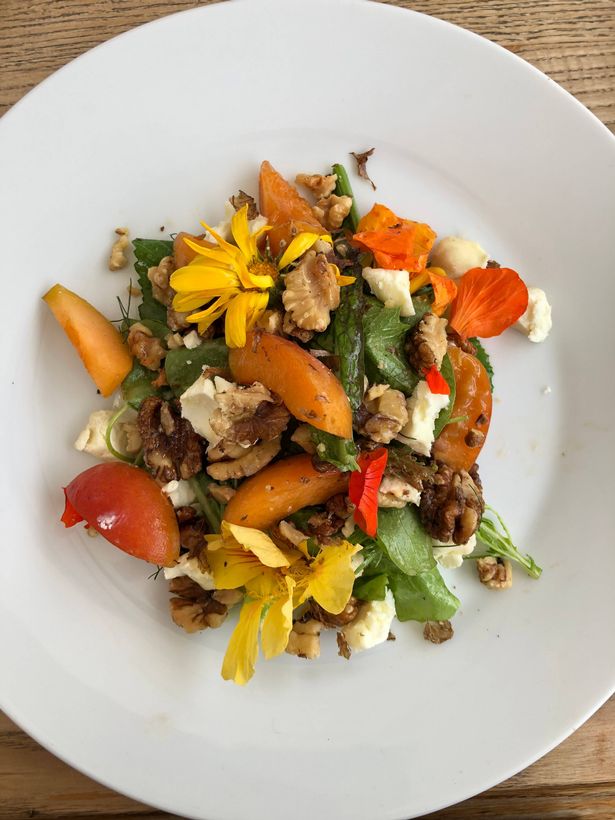 Salad