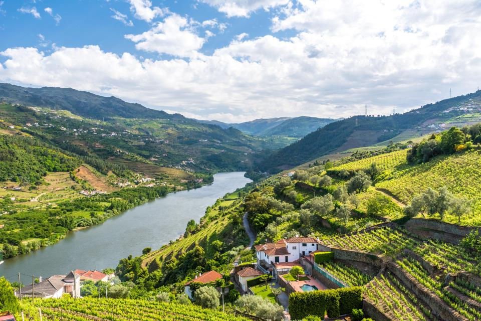 Vineyards and houses along the Douro River in Portugal.
