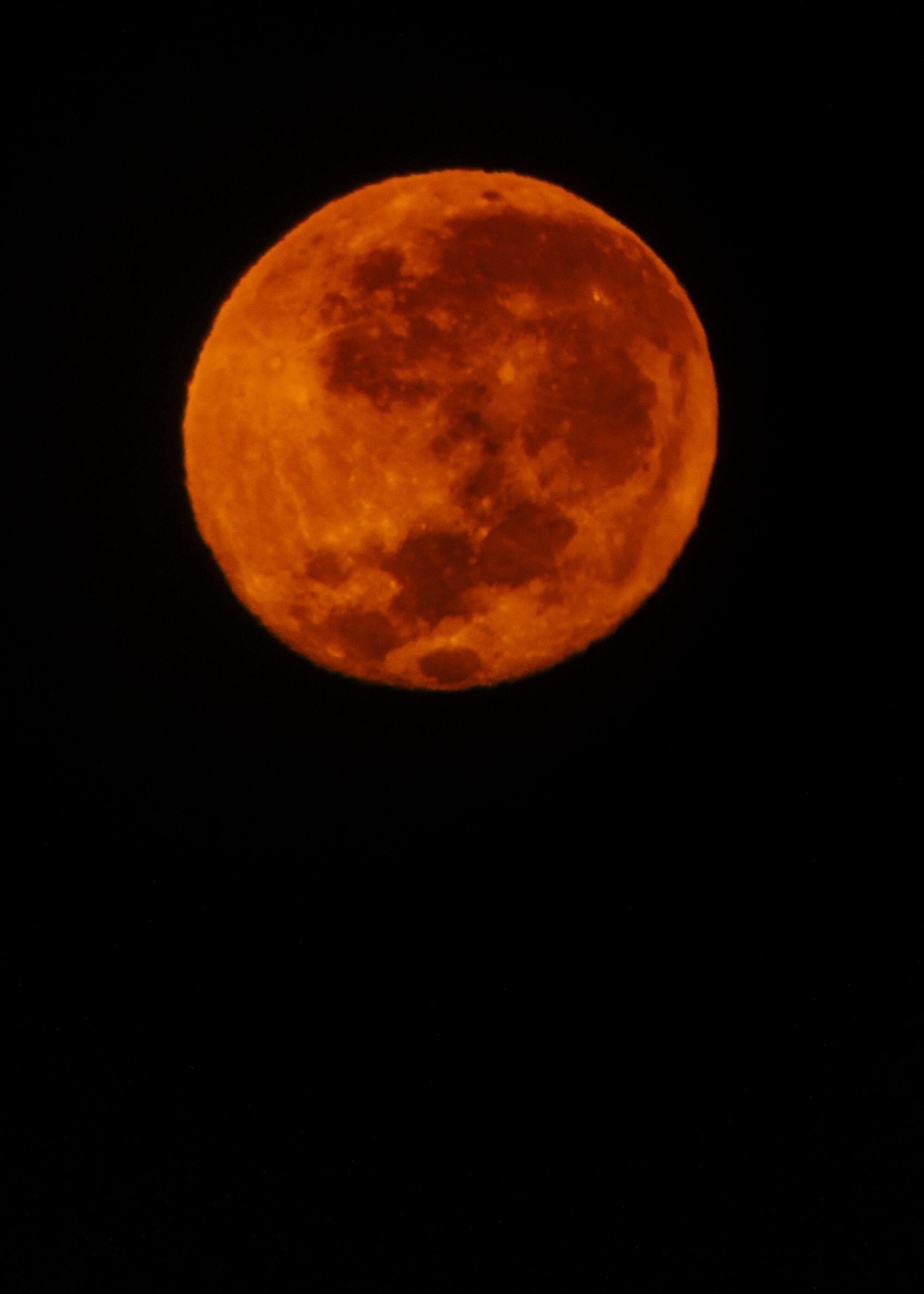 A full moon in the night sky.