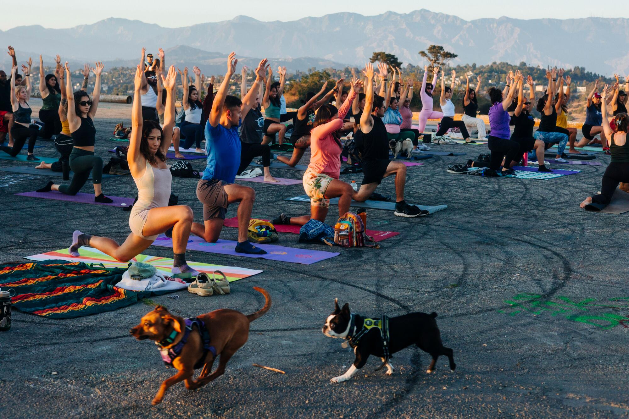 A group of people doing yoga.