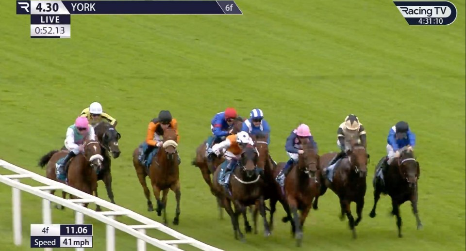 Horse race at York.