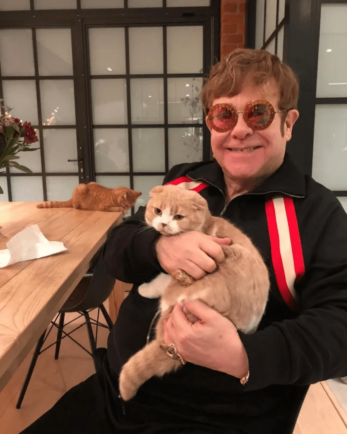 Ed Sheeran holding a cat.