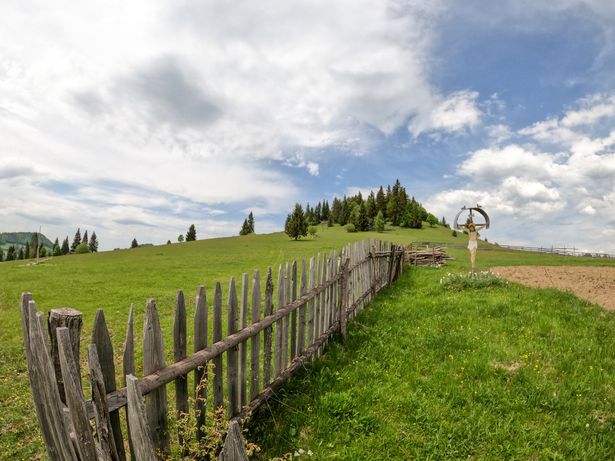 A view of the path